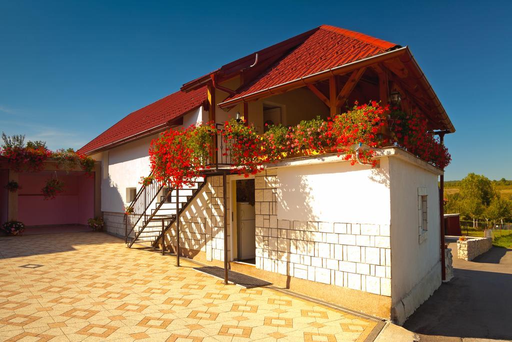 Apartment Jakovljevic Gornji Vaganac Δωμάτιο φωτογραφία