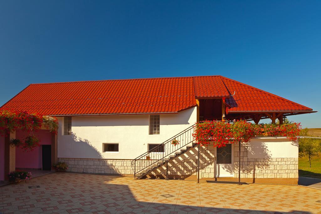 Apartment Jakovljevic Gornji Vaganac Δωμάτιο φωτογραφία