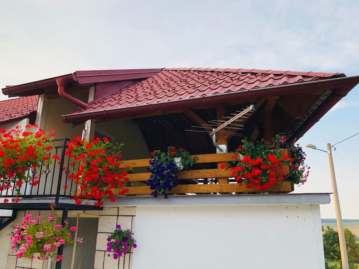 Apartment Jakovljevic Gornji Vaganac Εξωτερικό φωτογραφία